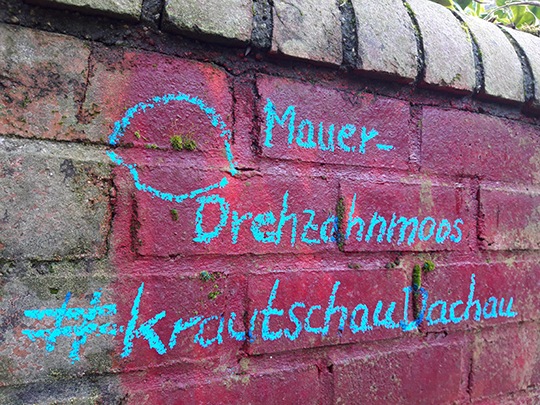 Krautschau Moos CBJ Kopie