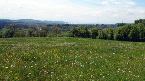 moorwanderung 1