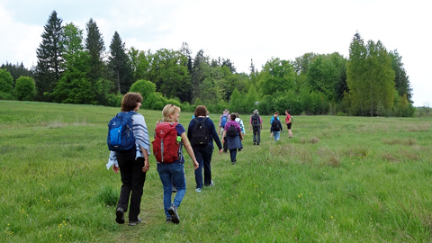 moorwanderung 2