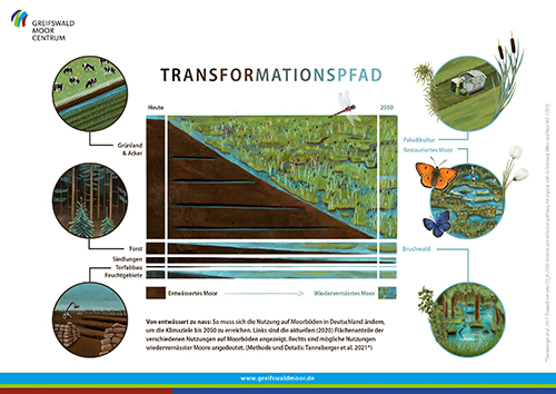 220117 Transformationspfad Grafik web weiss scaled 500px