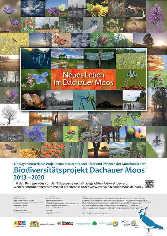 Biodiv Abschluss Plakat