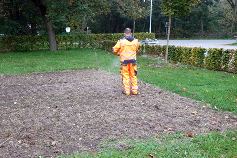 Erste Blhflche fr Insekten angelegt