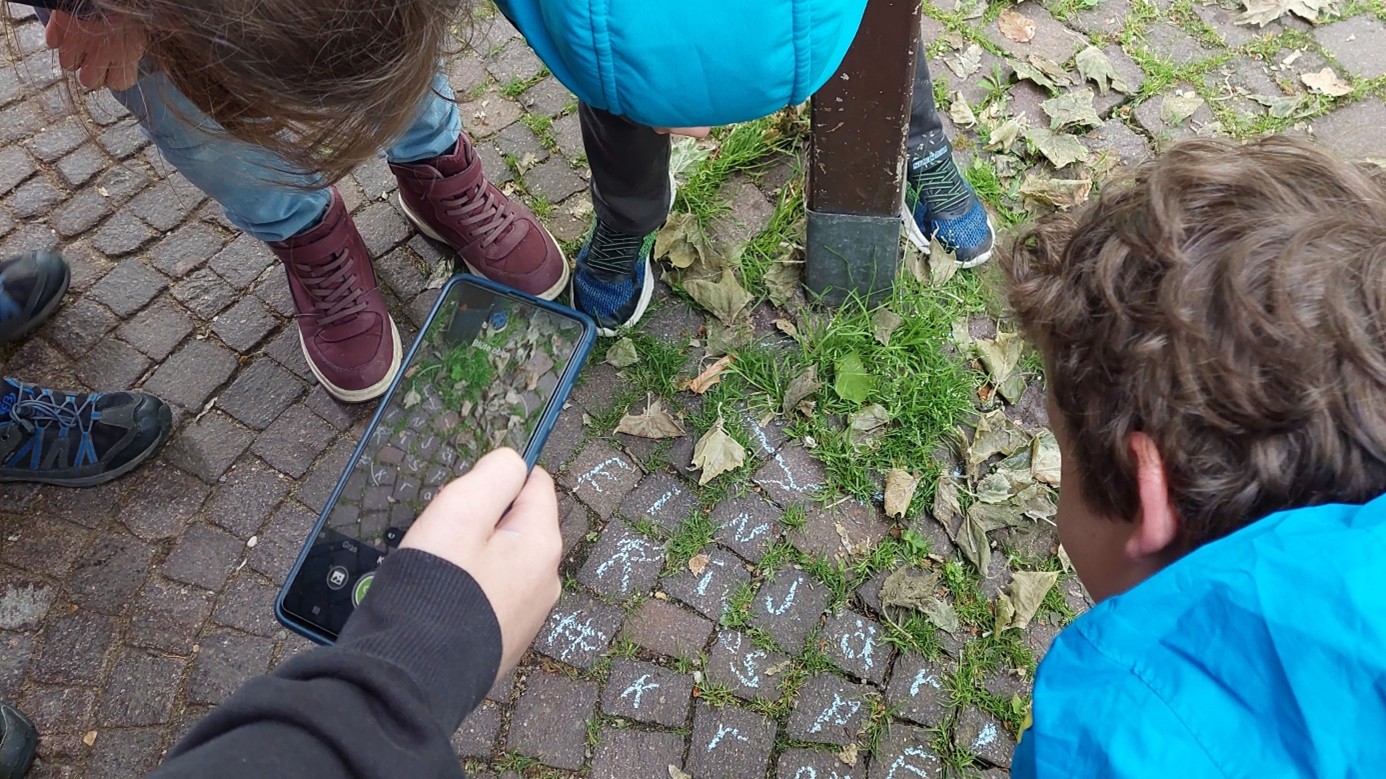 Krautschau Senckenberg3 500