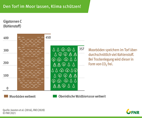 Moorböden speichern im Torf überduchschnittlich viel Kohlenstoff. Bei Trockenlegung wird dieser in Form von CO2 frei