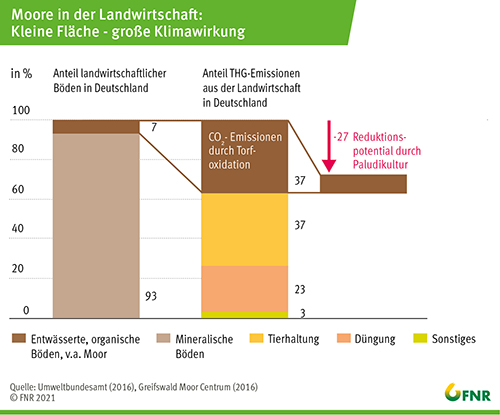 Moore in der Landwirtschaft: Kleine Fläche - große Klimawirkung