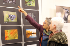 aktuell Ausstellung moosARTig 01